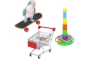 Wontee Bird Skateboard Toy Ring: Unleash the Fun!