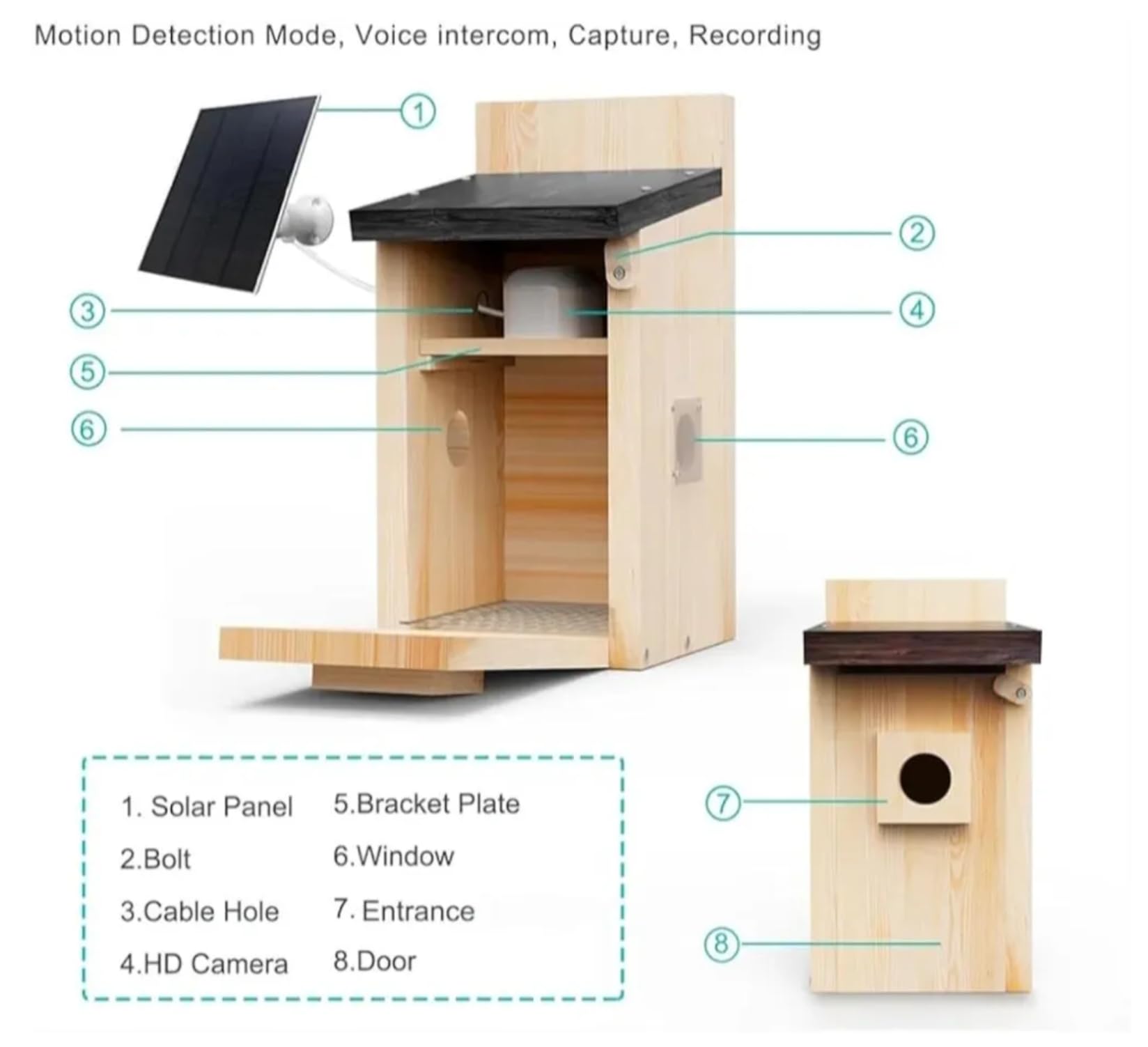 Smart Bird Box con fotocamera da 5 MP – Nido a energia solare per birdwatching dal vivo, rilevamento del movimento e acquisizione video, casetta per uccelli in legno resistente alle intemperie