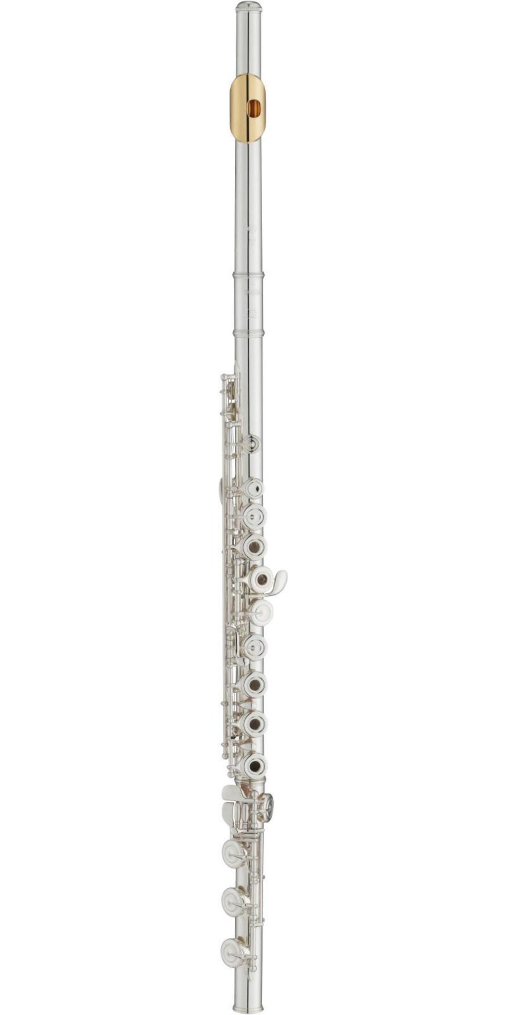 Amazon | ヤマハ 中級フルート 金メッキリッププレート付 YFL-362H