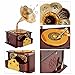 Fding Classical Trumpet Horn Turntable Gramophone Art Disc Music Box & Make up Case &Jewelry Box Home Decor (Brown)