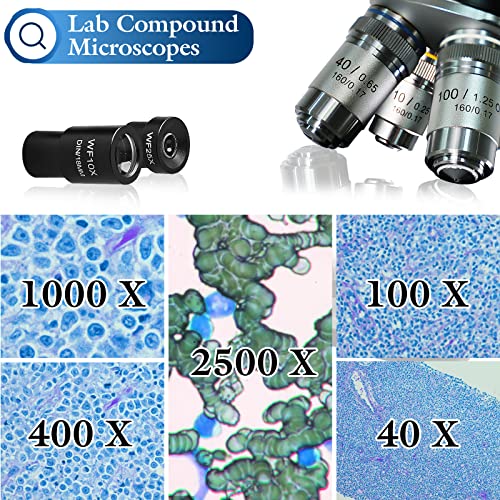 40X-2500X Led Compound Binocular Microscopes, Laboratory Microscope With Wf10X And Wf25X Eyepieces, Dual Layer Mechanical Stage, Blank Slides, Cover Slips, Students And Adults Use #TOP1