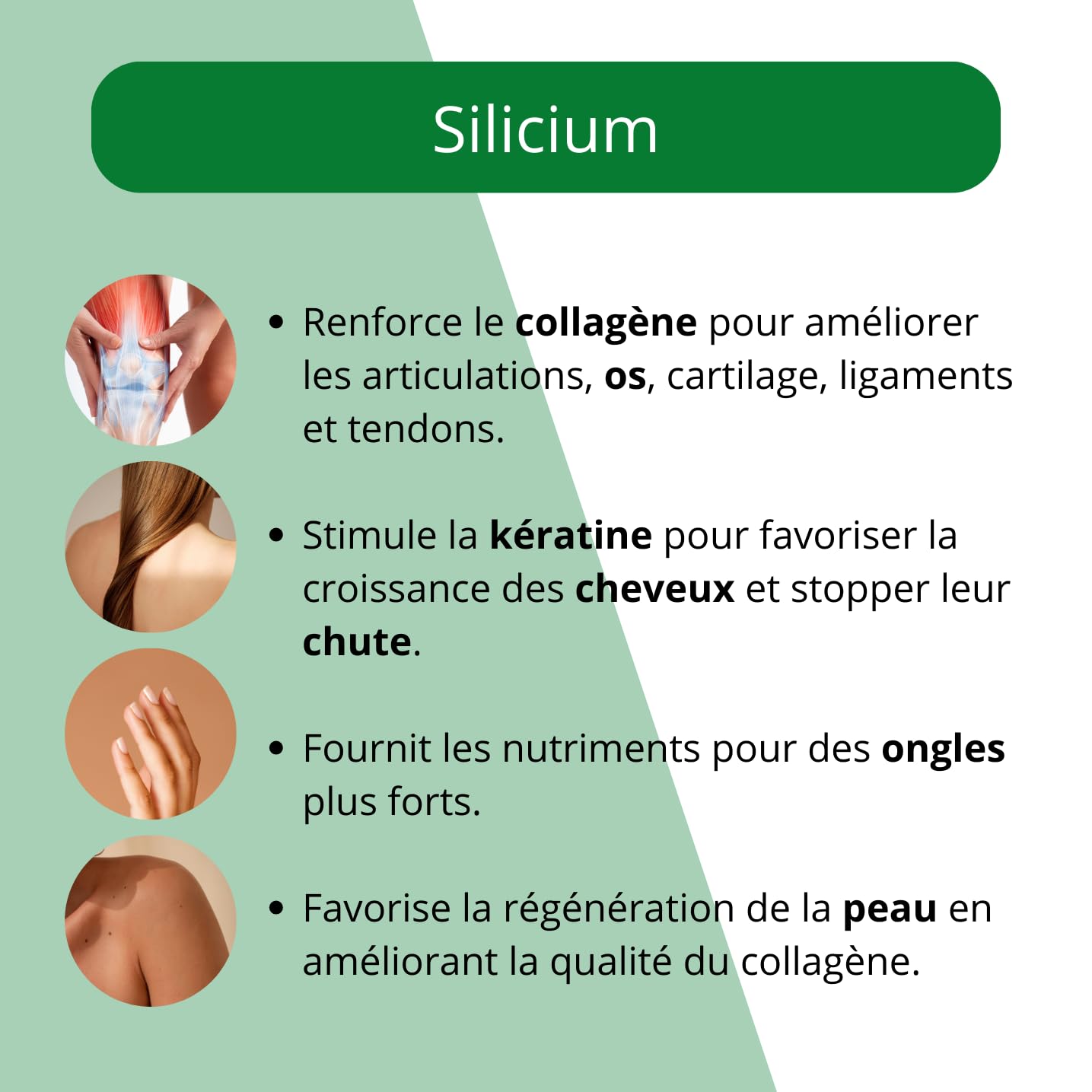 Silicium Glucosamine Chondroïtine MSM - 1000 ml - Sans paraben, sans lactose, sans arôme, sans OGM.