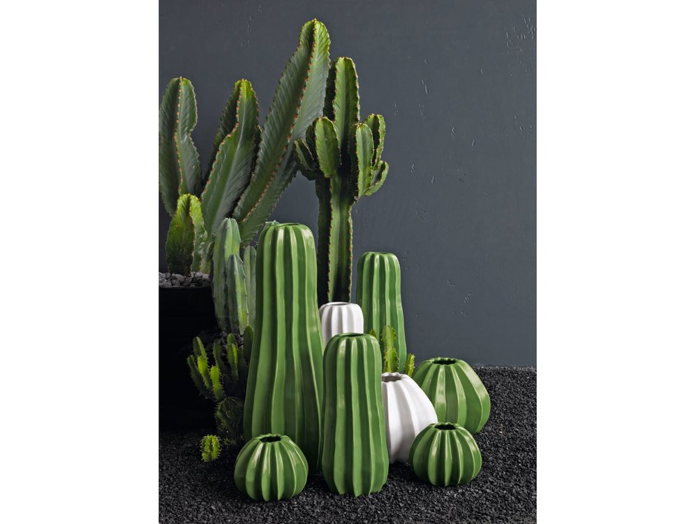 Amazon.de: ASA Vase Kaktus Kaktus grn  10,5 cm - Hhe 24 cm