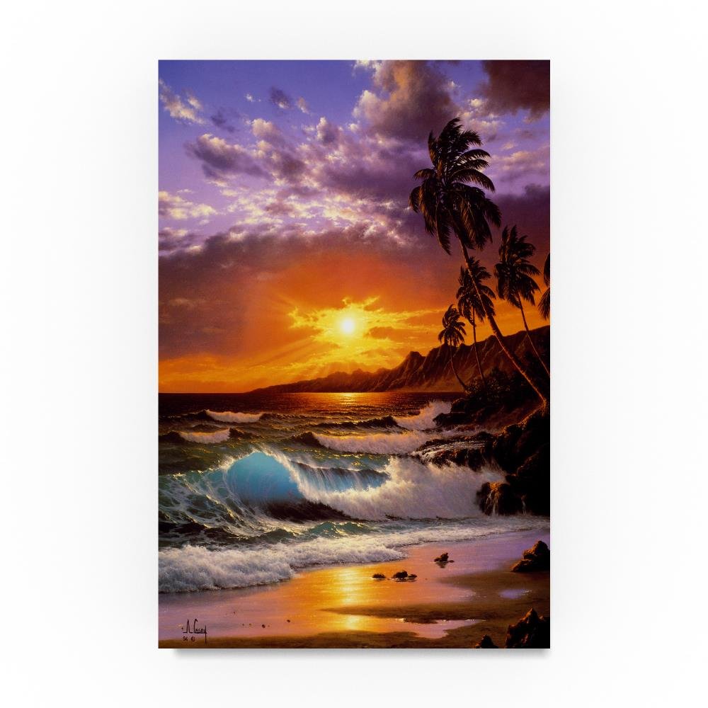 Amazon.com: Sunset Coast 5 by Anthony Casay, 12x19-Inch Canvas