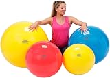 ギムニク ギムニク(GYMNIC) 55の商品画像