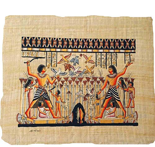 Papyrus Toutânkhamon 33x43cm véritable pour cadre mural - 2