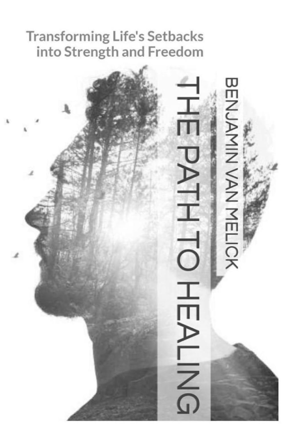 The Path To Healing: Transforming Life's Setbacks into Strength and Freedom (Self-Mastery Series by Inspire Life)
