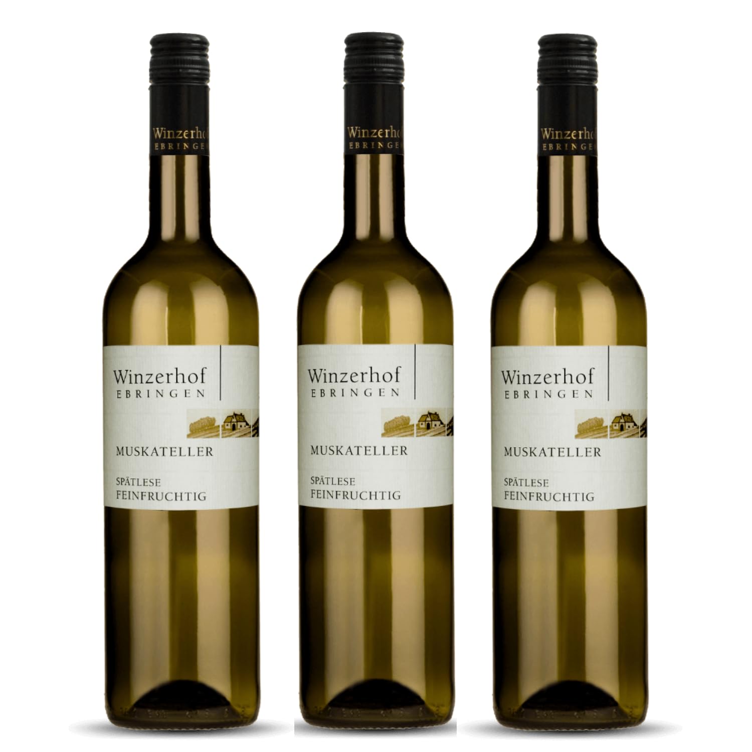 Winzerhof Ebringen Muskateller Spätlese feinfruchtig Weißwein Wein Deutschland inkl. FeinWert E-Book (3 x 0,75 l)