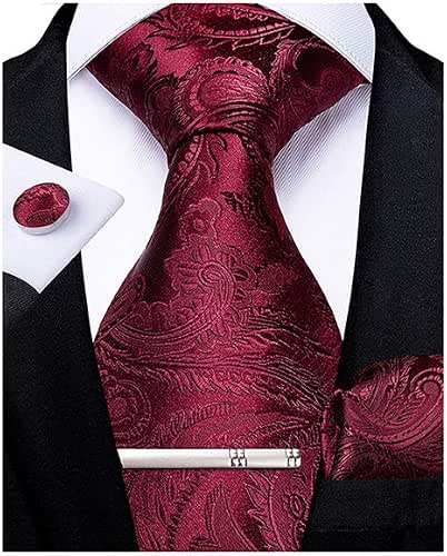 DiBanGu Paisley Ties for Men Silk Necktie and Pocket Square