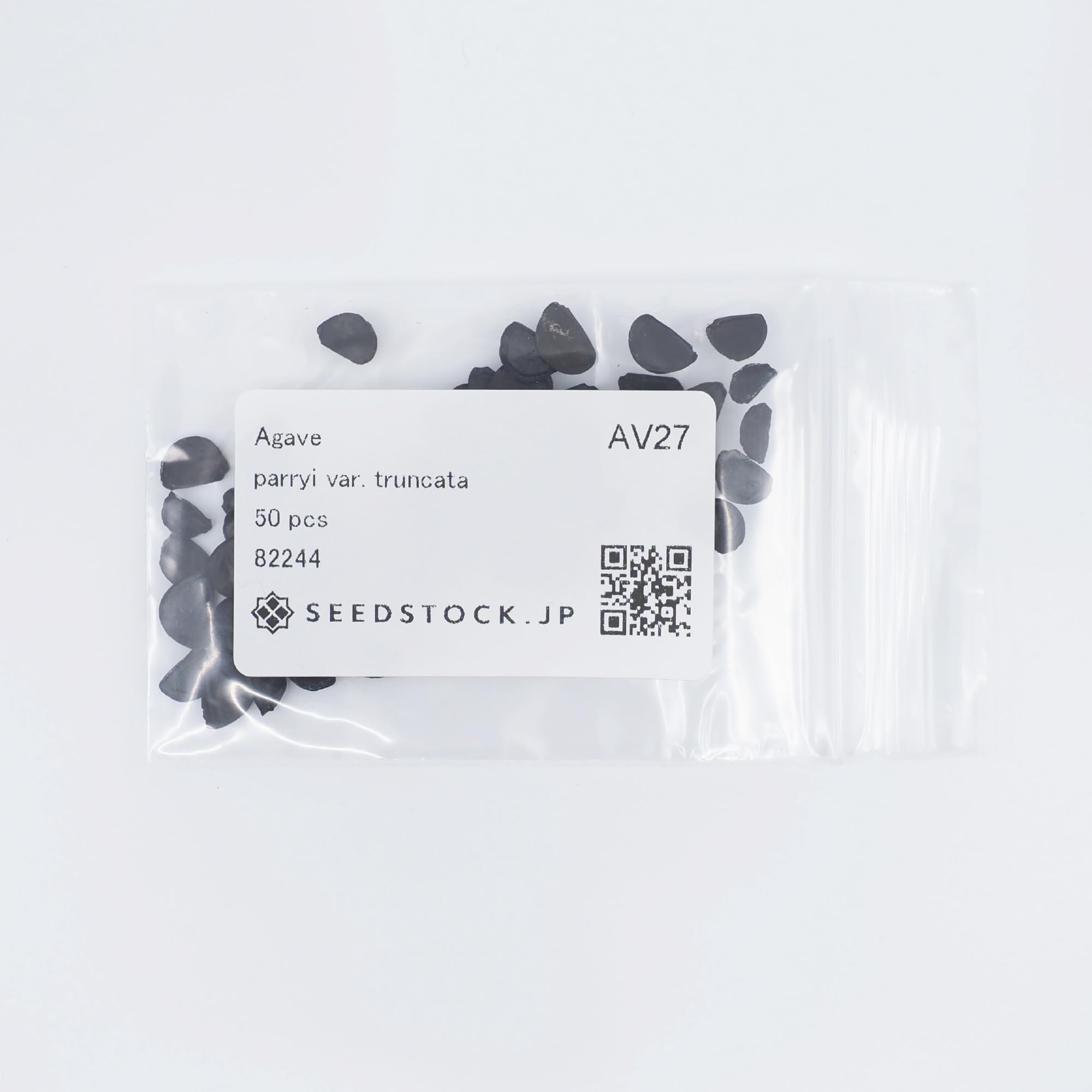 Amazon.co.jp: SEEDSTOCK アガベ 種子 トランカータ (50) : DIY・工具