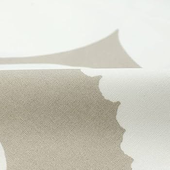 61o2D-hWQ4L._AC_UF350,