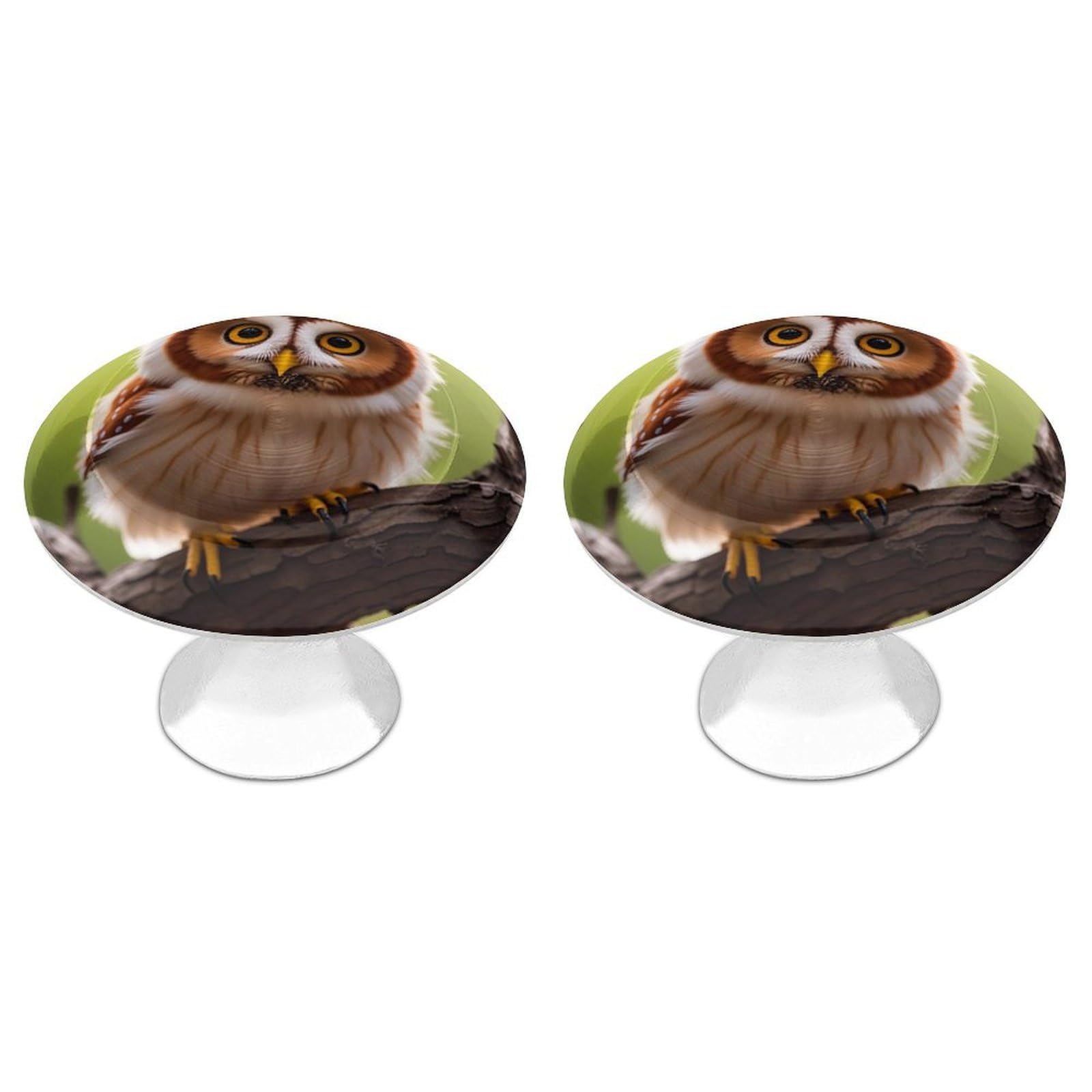 FekiLoot Real Cute Owls Cabinet Knobs 2 Pack Stainless Steel Round Dresser Drawer Knobs Kitchen Drawer Hardware Dresser Knob Closet Door Pulls Cabinet Handles for Cupboard Drawer Pulls