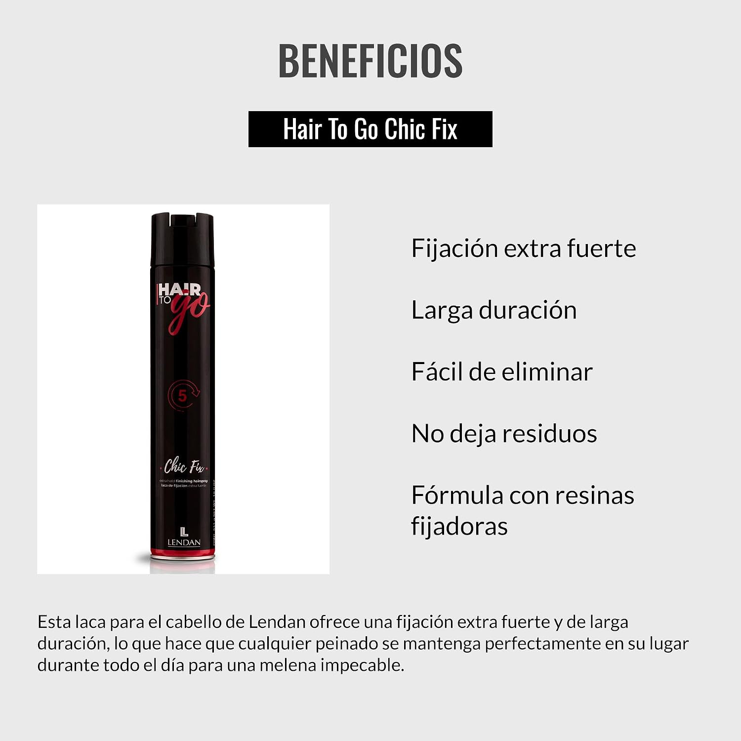 Lendan - Professional Hair Spray - Hair To Go Chic Fix - 1000 ml - Extra Strong Hold - Long-Lasting - Easy to Remove - No Residue - Fixing Resin Formula