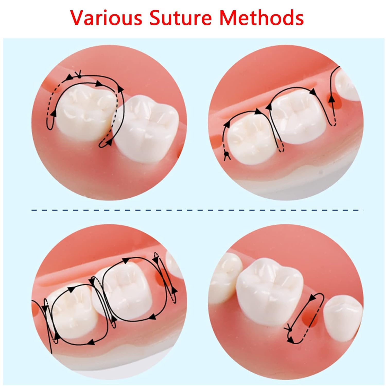 Simulatore di addestramento for denti dentali orali umani, modello, strumento di pratica di sutura, modulo in silicone, denti, gengive, cuscinetto parodontale(Upper Jaw)