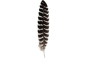Grade A Smudge Feather