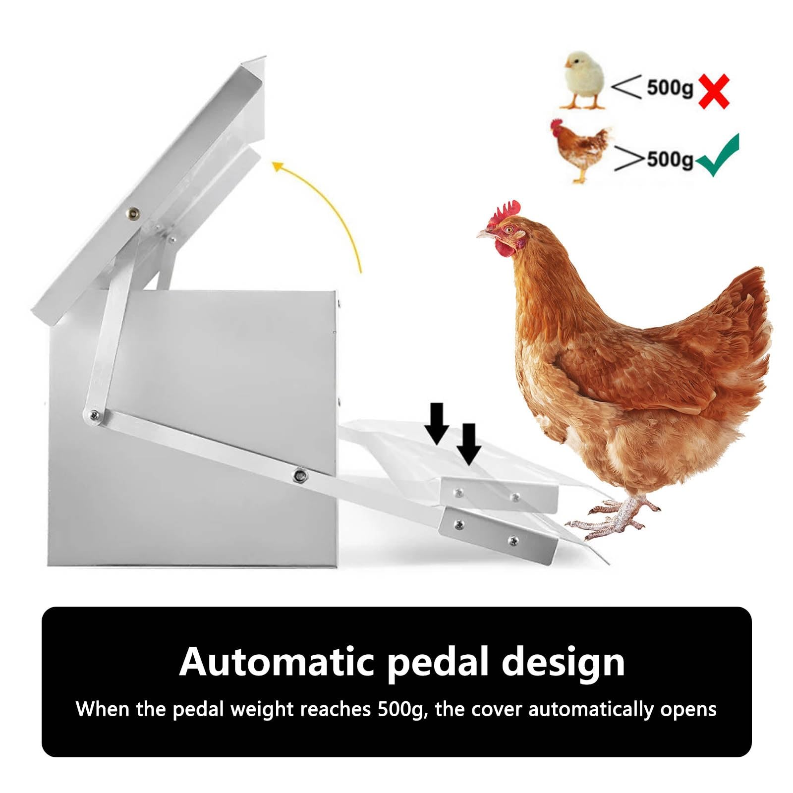 Comedero AutomáTico para Pollos Comedero para Gallinas Capacidad de 5 Kg Comedero Gallinas Dispensador Acero Inoxidable Comida para Pollos para Aves de Corral A Prueba de La Intemperie