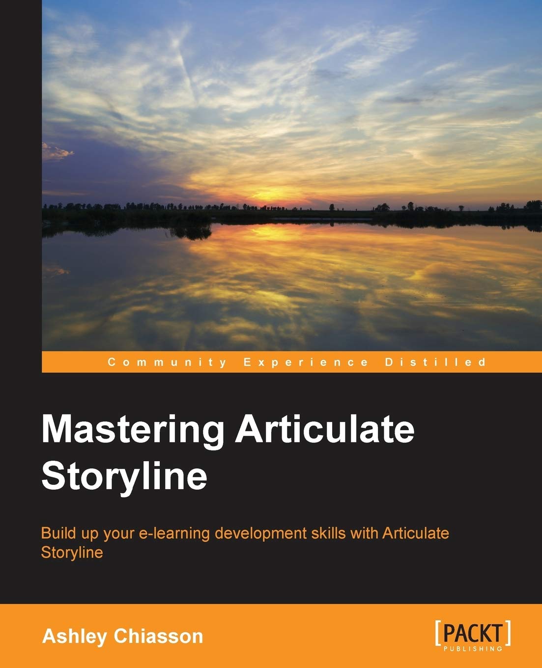 Photo 1 of Mastering Articulate Storyline