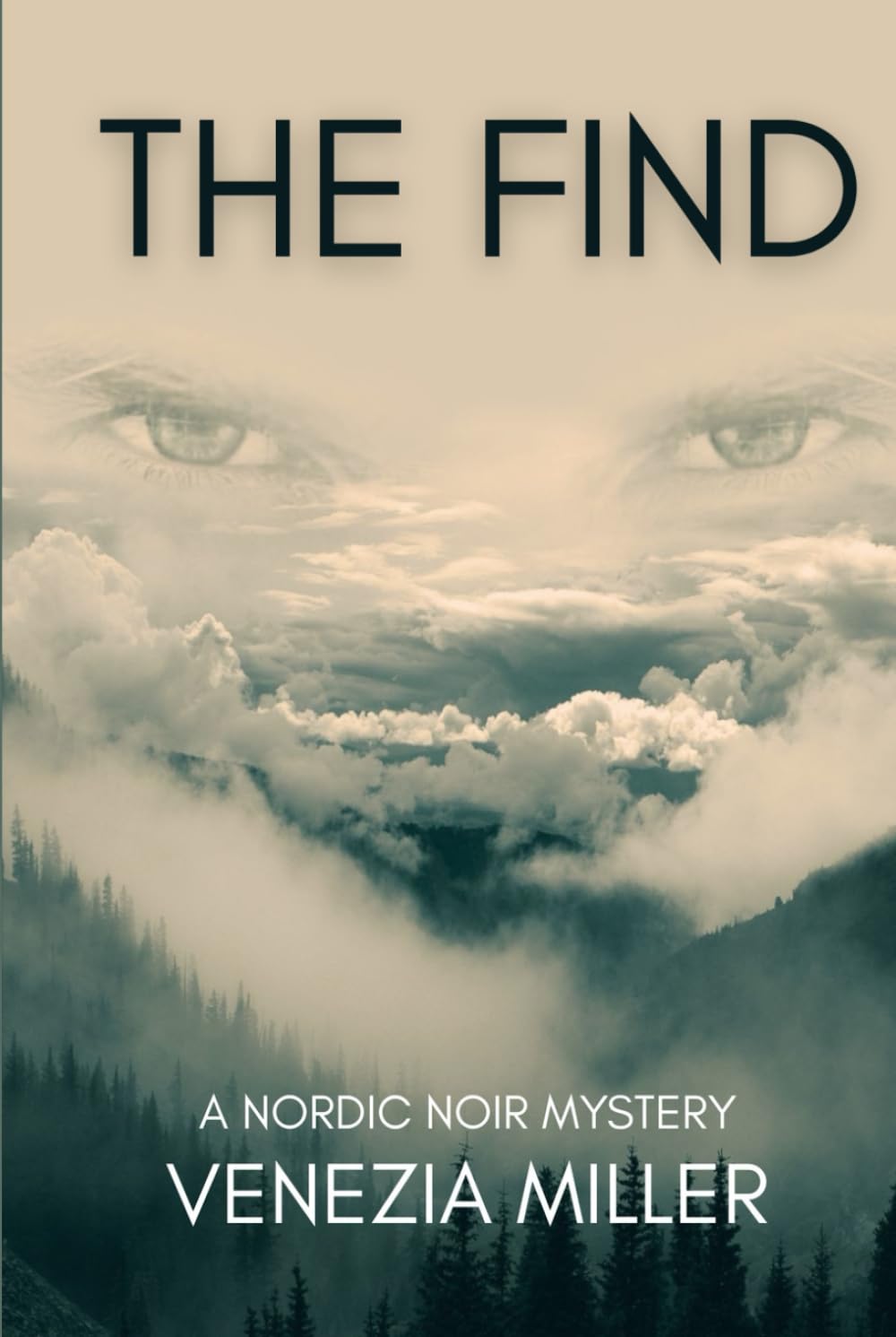 The Find: A gripping nordic noir mystery