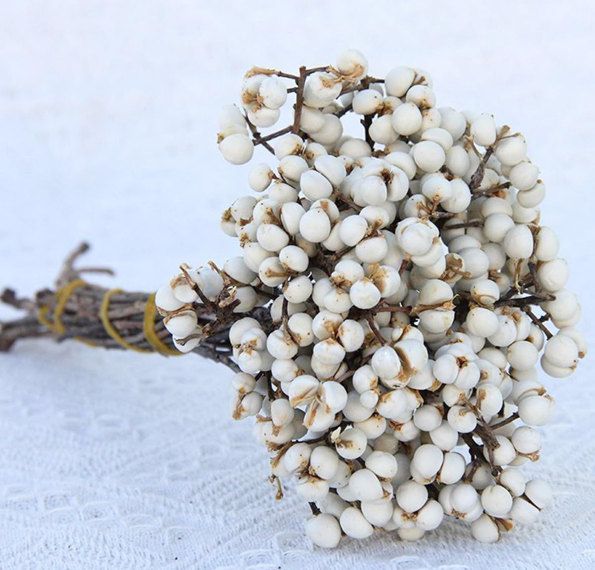 Natural Dried Tallow Berries, Holly Tallow Berries, Dried Plants Floral Decor, Natural Berry Stems Bouquet for Home, Office, Wedding, Party, DIY,