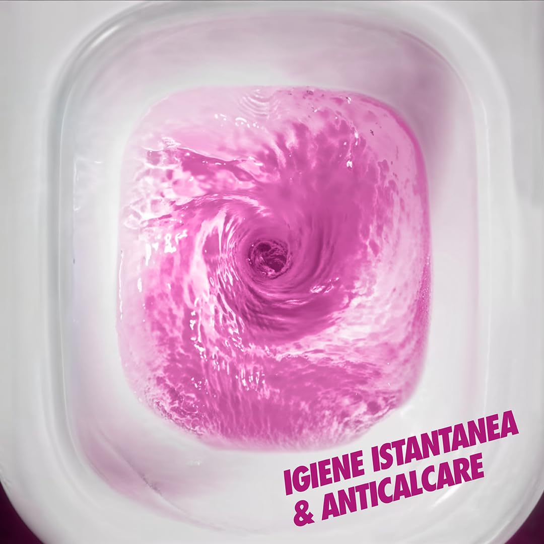 Wc Net - Brilliant Gel Floral Ritual, Detergente Liquido per Wc, Formula Brillante con Cristalli Minerali, Igiene Profonda, Azione Anticalcare, Profumo Floreale, 700 ml