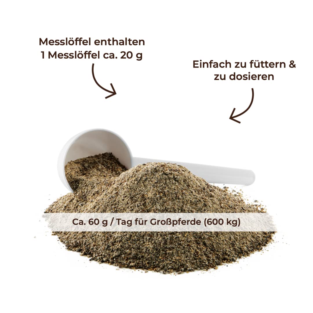 MIGOCKI Magnesium für Pferde Futterergänzung getreidefreies Pulver 1,5 kg