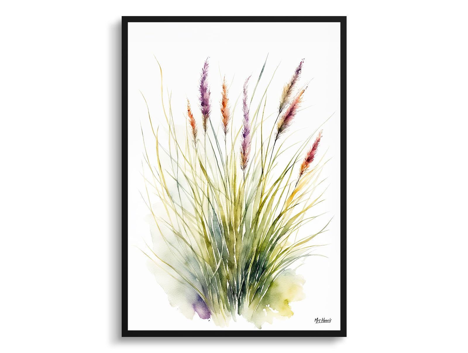 Mrs Henri's Muhlenbergia capillaris Minimalist Art Print Watercolour Botanical Framed Hairawn Muhly Wall Art Poster
