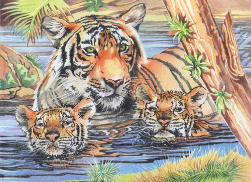 Reeves PPCR1 Tiger and Cubs Colored Pencil by Numbers, Large