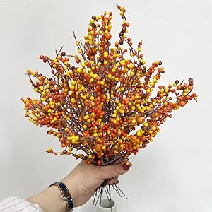 25 Pcs Artificial Berry Picks 10 Inches Fall Picks Orange Fall Berry Stems for Vases Thanksgiving Floral Arrangements Christmas Tree Autumn Harvest Party Decor (Orange) 25 Pcs Artificial Berry Picks 10 Inches Fall Picks Orange Fall Berry Stems for Vases Thanksgiving Floral Arrangements Christmas Tree Autumn Harvest Party Decor Orange