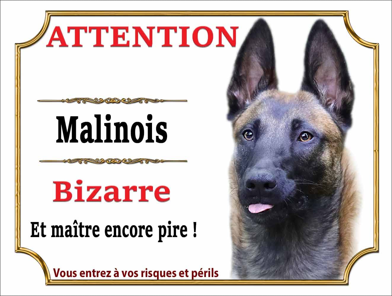 Décoration Maison Personnalisable Prénom Animal Plaque Humour Attention Braque De Weimar Chien Bizarre En Plaque Humour Chien Braque De Weimar