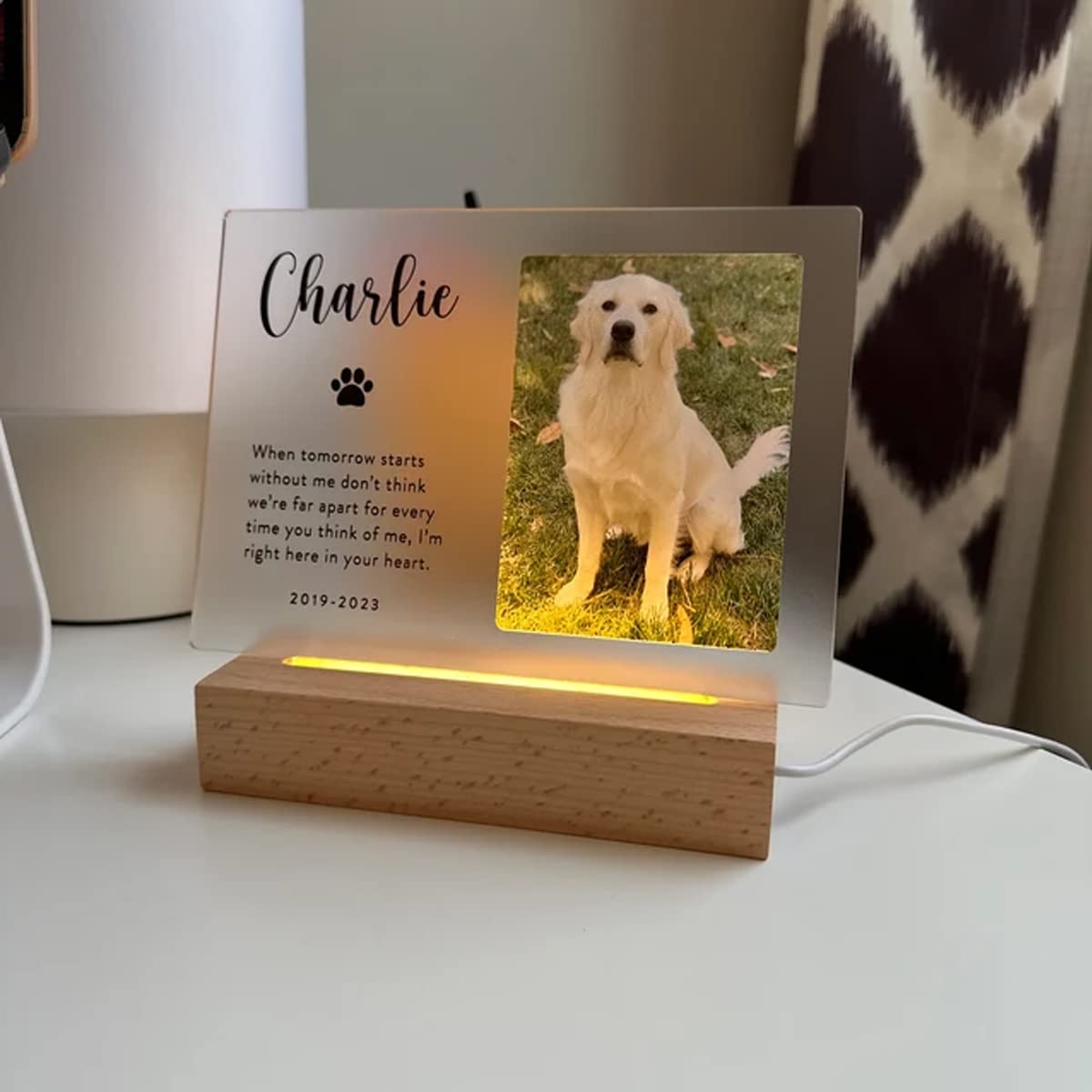 Targhetta Identificazione Per Animali In Acciaio - Incisione Personalizzata Per Cane E Gatto - Foto 10