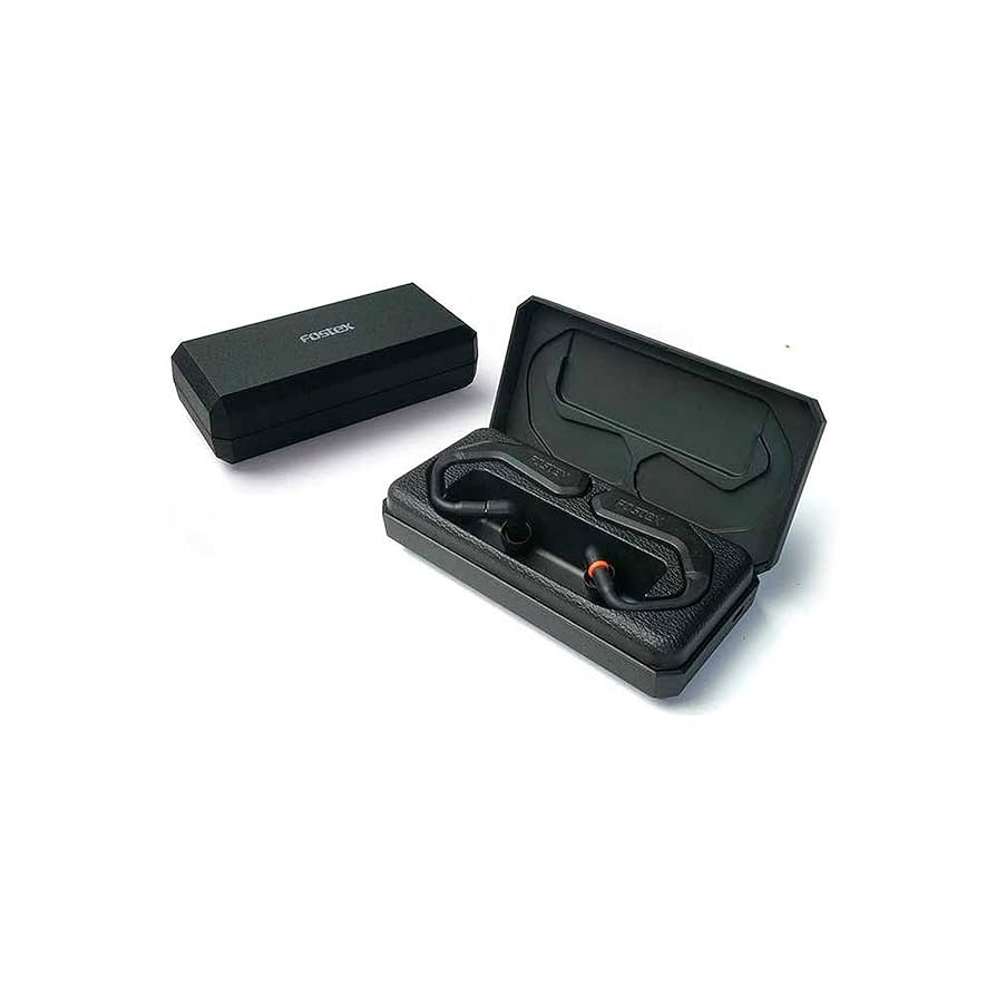 Amazon.com: Fostex TM-2C True Wireless Stereo In-Ear System