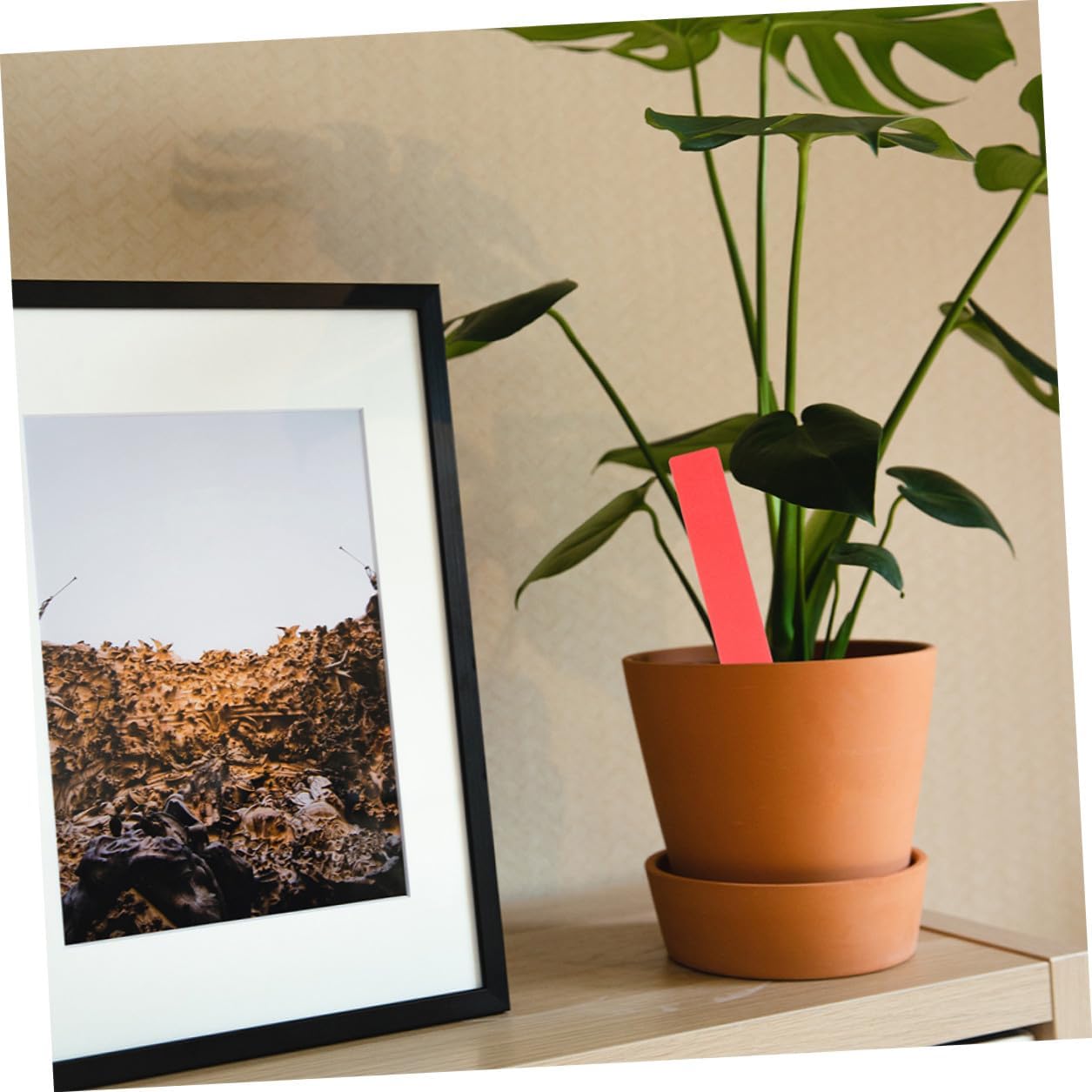 600pcs Plastic Plant Labels Stakes for Gardening Waterproof Small Garden Plant Markers with Tags 10x1.8cm Seedlings and Succulent Garden Use