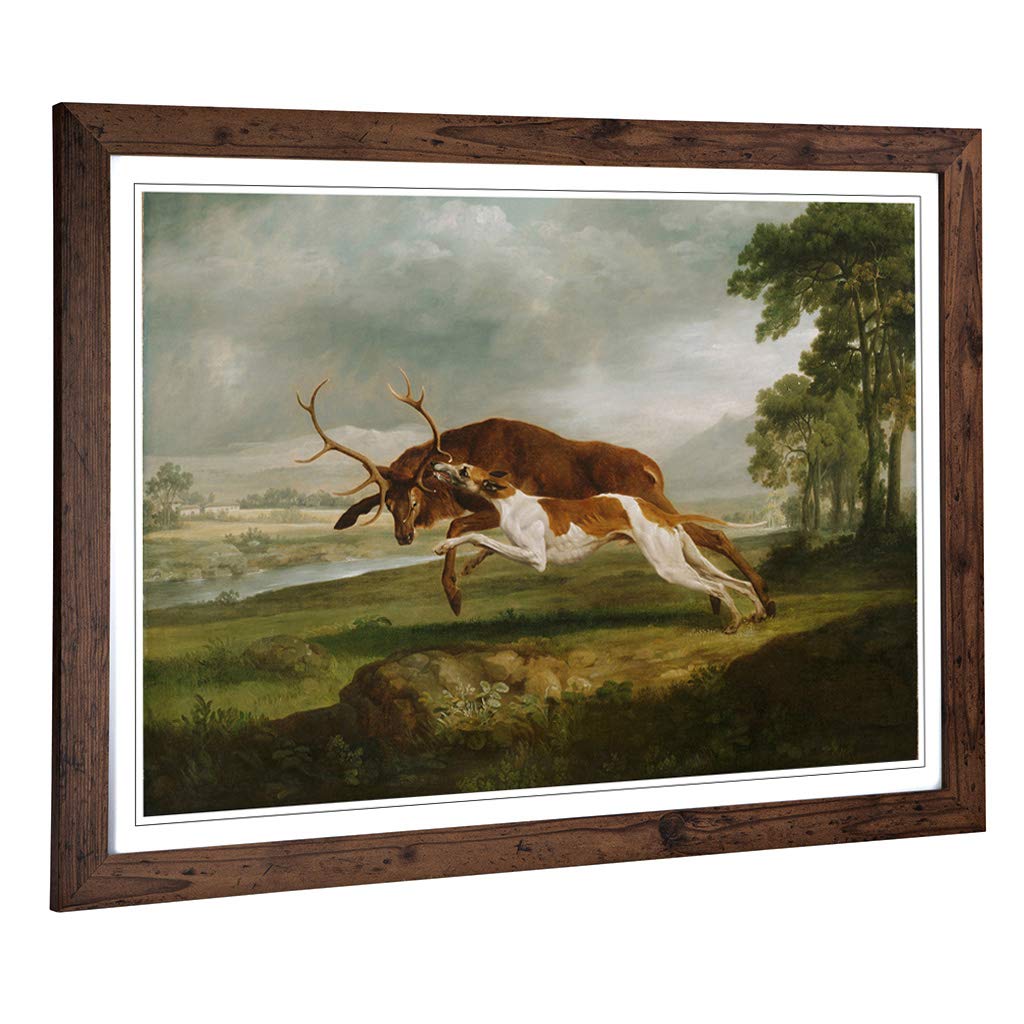 Big Box Art Framed Print of George Stubbs English Hound with a Stag Design | Wall Art Picture | Home Decor for Kitchen, Living Room, Bedroom, Hallway, Walnut, A2 / 24.5x18 Inch / 62x45cm