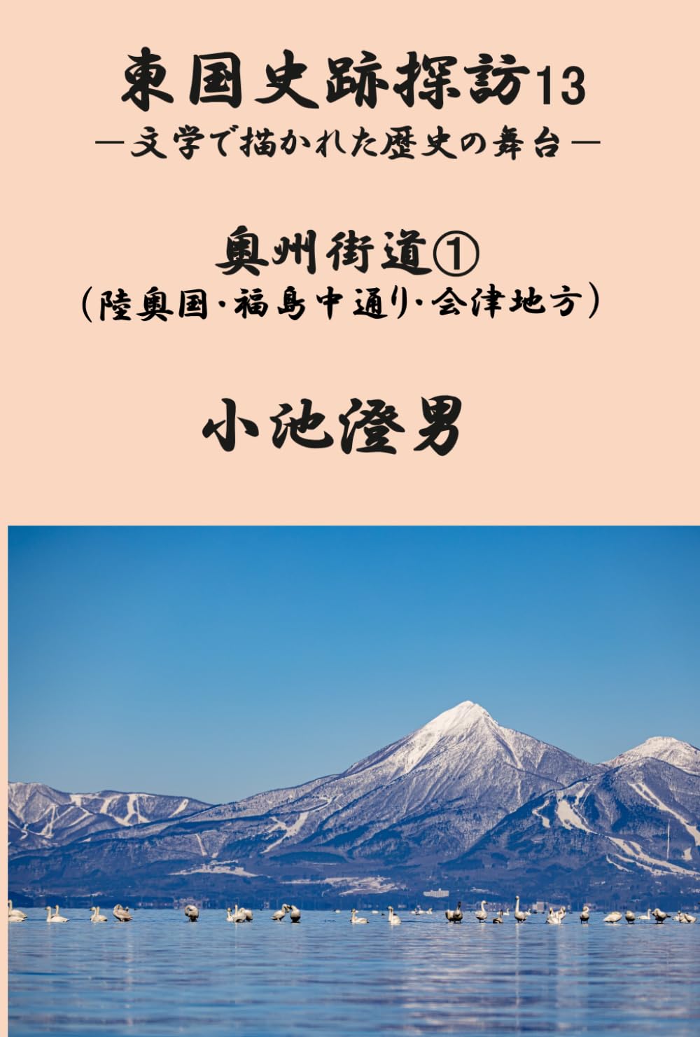 東国史跡探訪13: 文学で描かれた歴史の舞台 (東国史跡探訪)