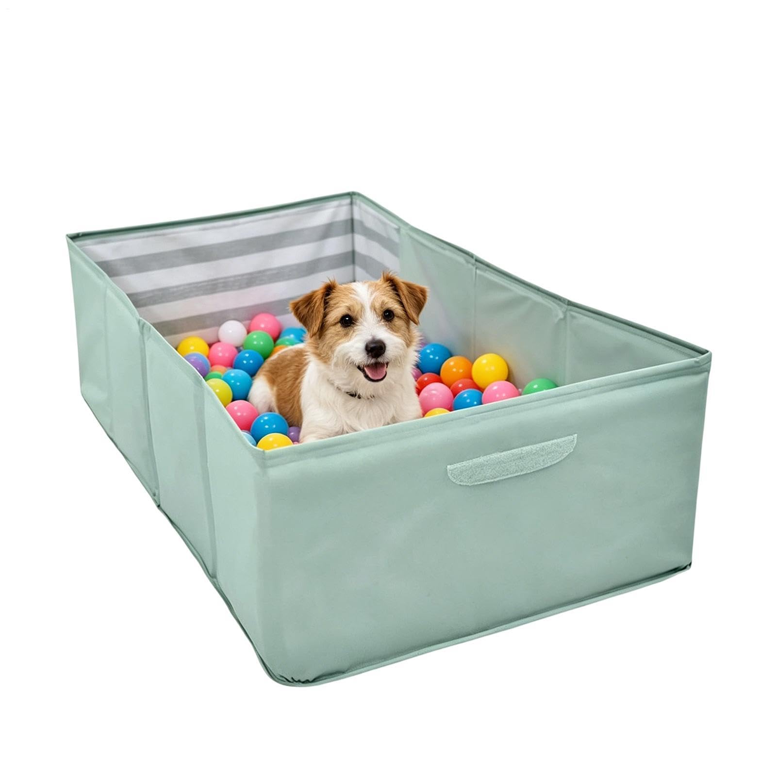 Piscine pliable pour chien pour rafraîchir votre animal en été