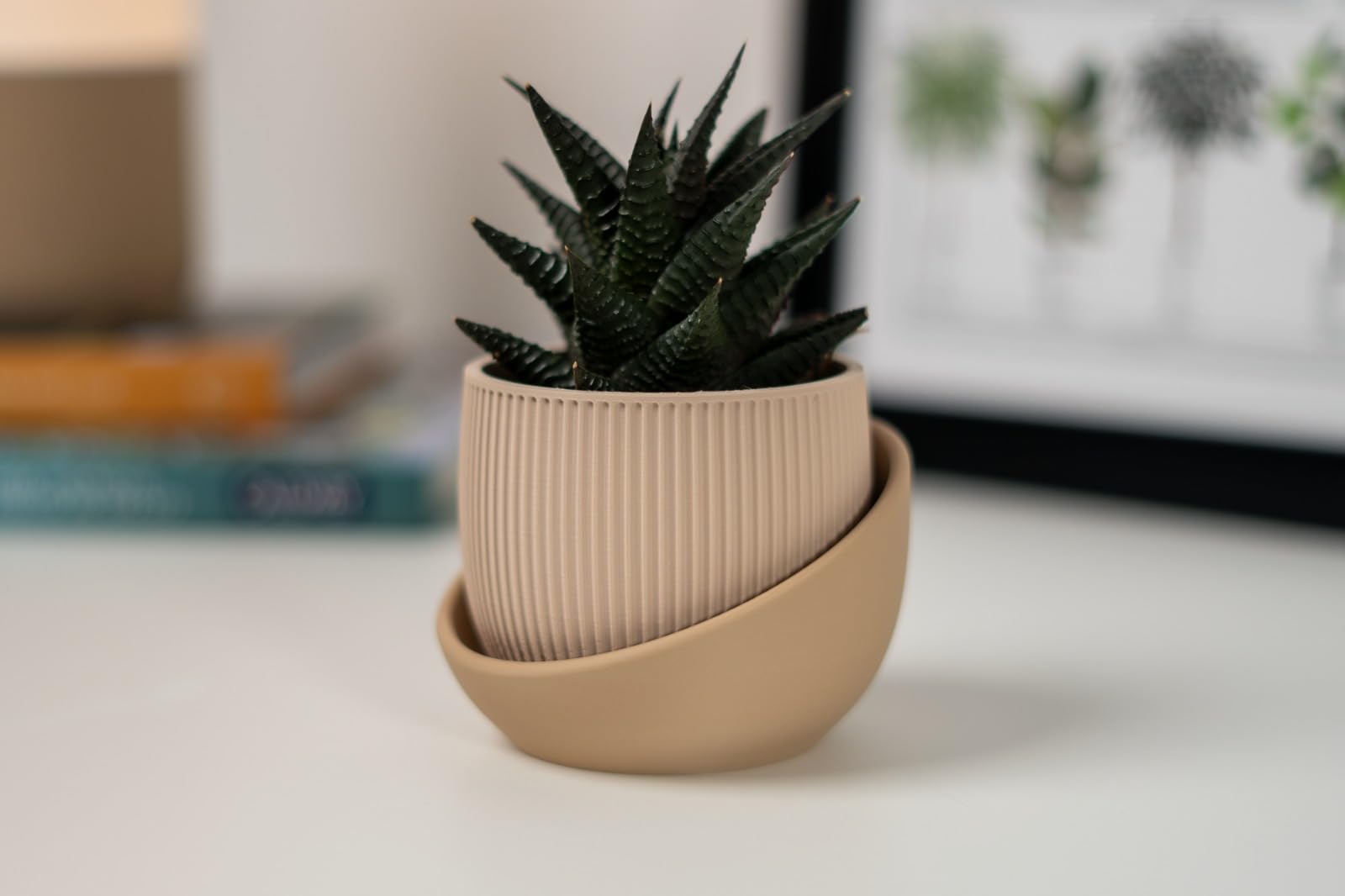 See full amazon price history chart for Albro 3D Printed Succulent Planter Pots for Indoor, Home Decor, Outdoor, Balcony & Garden | Beige Albro 3D Printed Succulent Planter Pots for Indoor, Home Decor, Outdoor, Balcony & Garden | Beige (B0D9NZHDSQ) Amazon Price History, Amazon Price Tracker