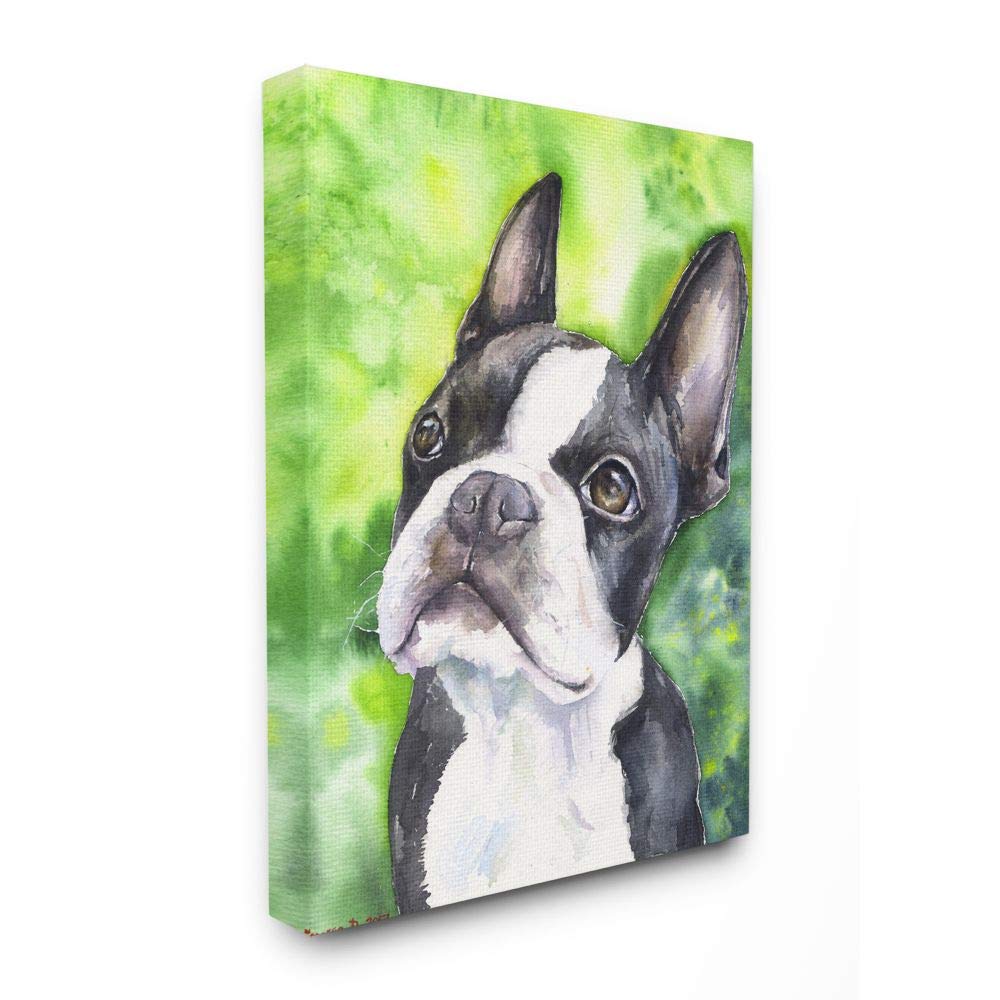 Stupell Industries Cute Boston Terrier Dog Pet Animal Watercolor Painting Canvas Wall Art, 16x20, Multicolor