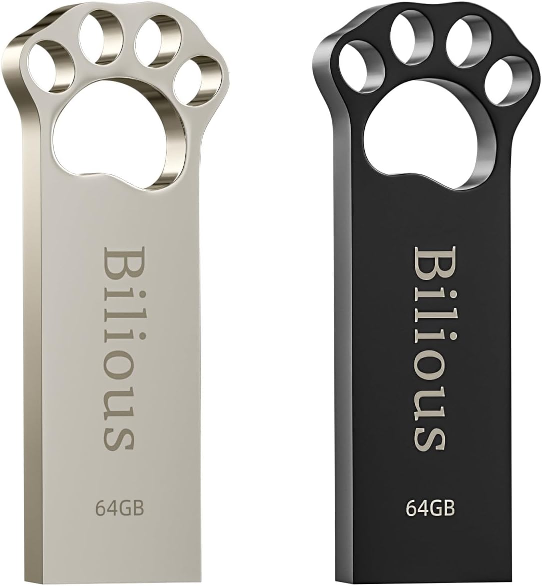 Bilious USB Flash Drive, 2PCS 64GB Cute Catpaw Style Thumb Drive Portable Key-Hole Design Memory Stick, Waterproof Jump Pen Drive for Storage and Backup