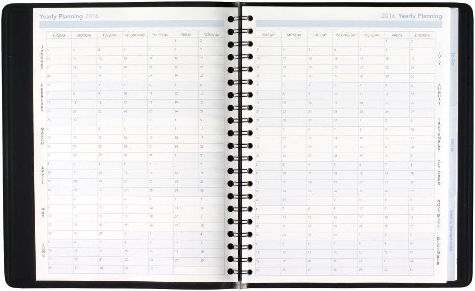 AT-A-GLANCE Daily Appointment Book / Planner 2016, The Action Planner, 8.12 x 10.88 Inches, Black (70-EP01-05 )