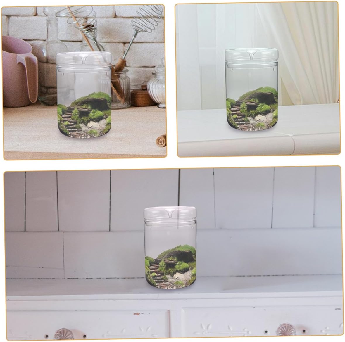 Glass Plant Bottle for DIY Micro Landscape Vase for Indoor Plants Terrarium Container Simple Bottle Eco-Friendly