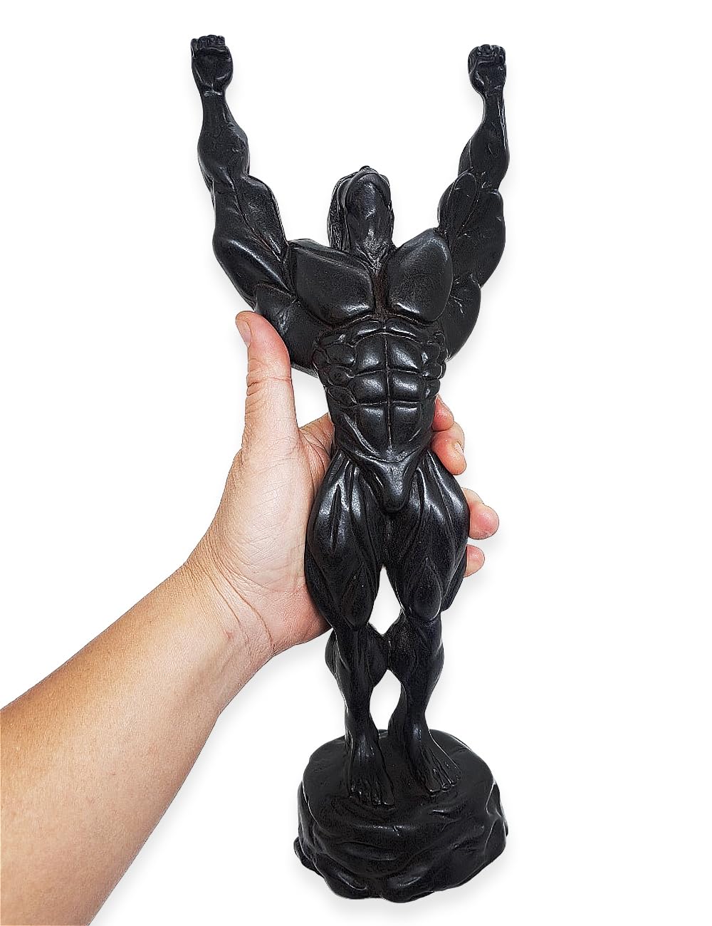 Amazon.co.jp: BestySuperStore ボディビルディング 高さ13