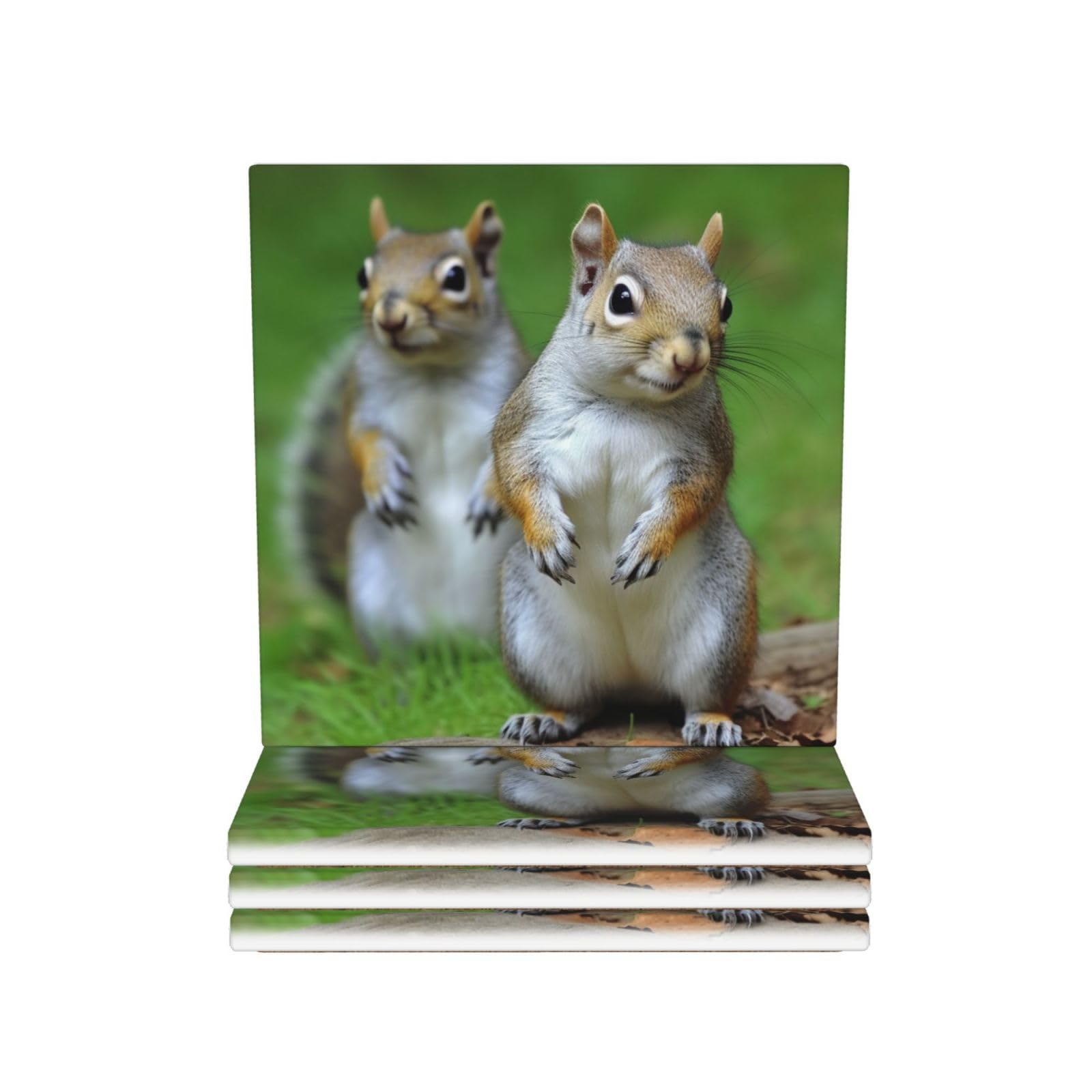 Drink Coasters Set of 4 Ceramic Coaster Squirrel Coasters for Drinks Cups Mugs Mat Pads Absorbent Non-Slip Decorative Cup Coaster for Coffee Table Kitchen Bar Home Decor