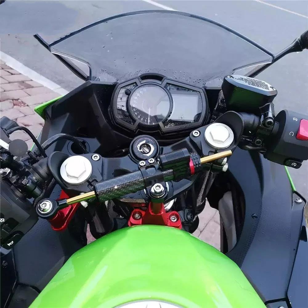 ステアリング安定化 に適合する 忍者 ZX-6R ZX6R 2009-2024 ZX 6R 636