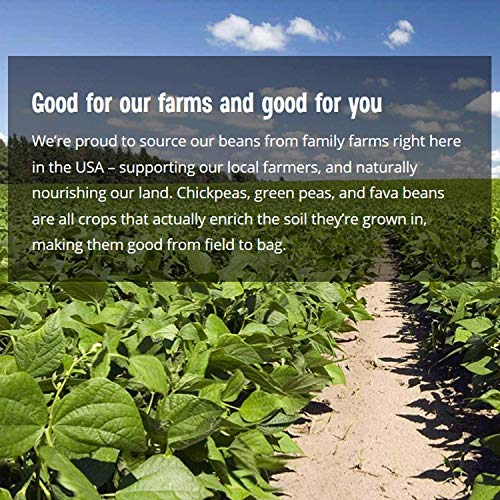 The Good Bean Protein Snack Mix - Sea Salt - (6 Pack) 6 Oz Resealable Bag - Fava Beans And Split Peas - Vegan Snack With Good Source Of Plant Protein And Fiber #TOP4