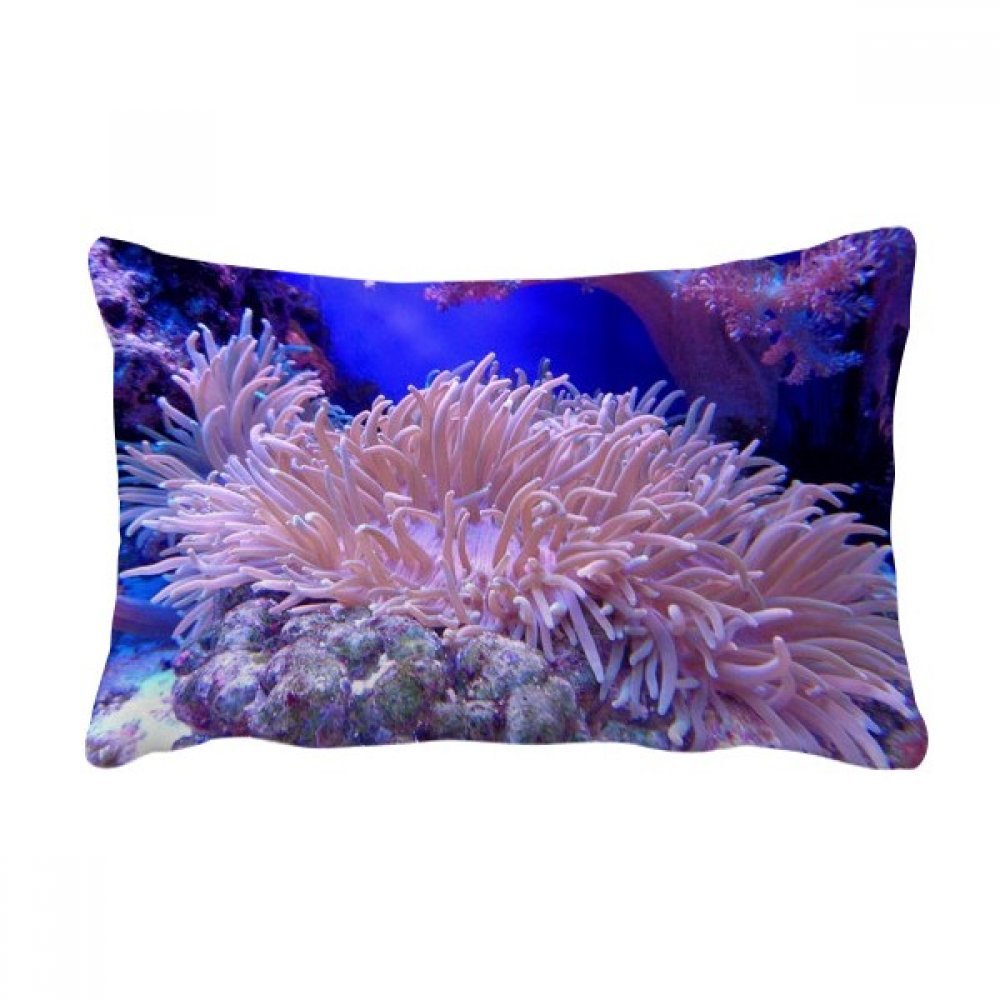 Coussin lombaire oceanologie pour soulager le dos sur le canapé avec motif corail