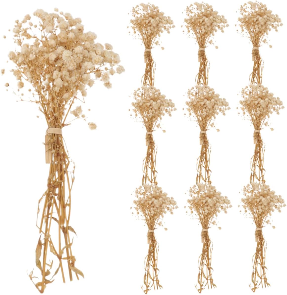 Bundles Dried Breath Flower Bouquets Room Floral Art Decor for Home Office Weddings and Photography Props