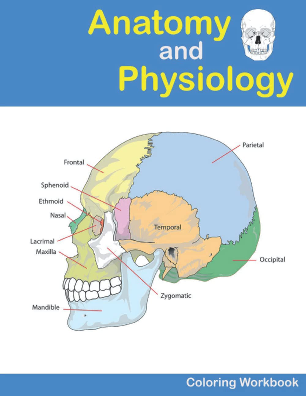 Anatomy and Physiology Coloring Workbook: Anatomy Study Guide. Anatomy and Physiology Coloring Book