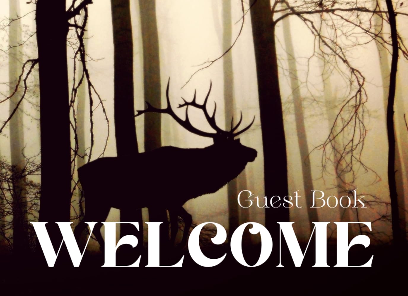 Guest Book for Vacation Rental Mountain Guest House Cabin/Cottage AirBNB Log Book Lake House 100pages Book 4