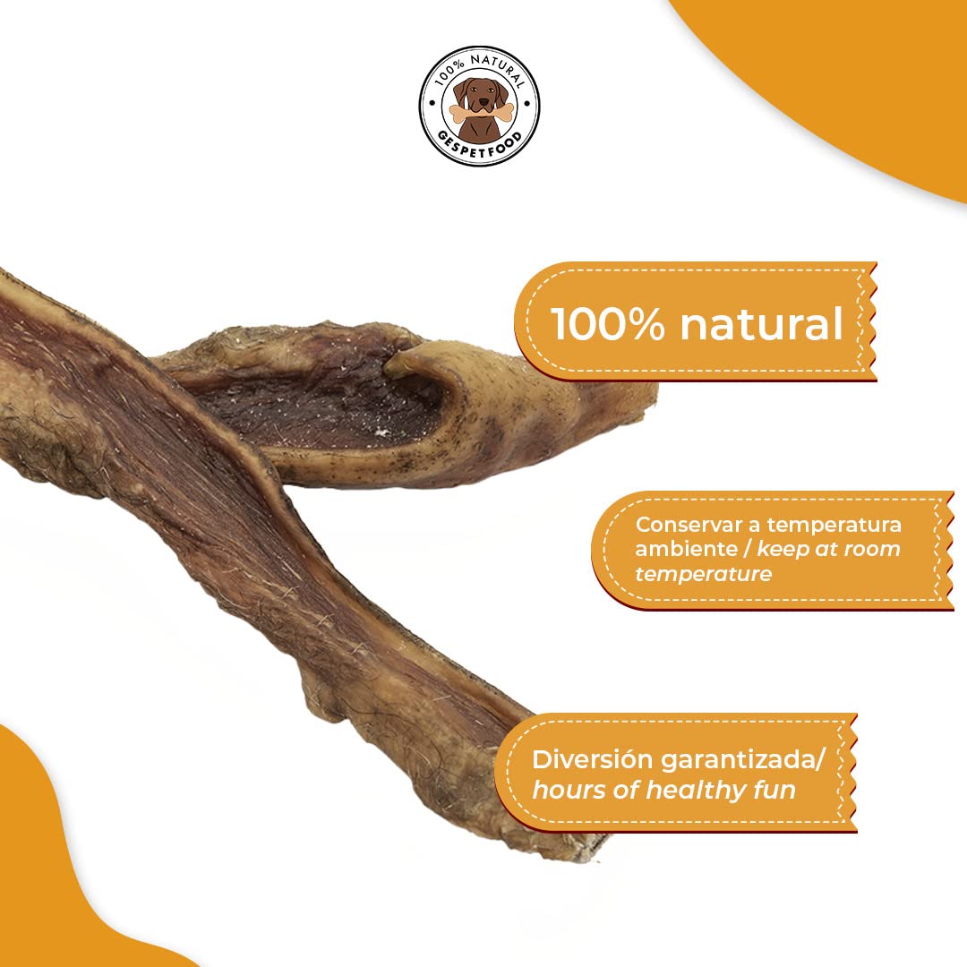 Snack Disidratato per Cani - Strisce di Pelle di Bovino - Sacchetto da 1kg - 15 cm - Sapore Pancetta - Senza Cereali - Gengive Sane - Dolci Cani - Prodotto in Spagna - GESPETFOOD