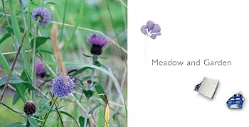 Amazon.com: Angie Lewin: Plants and Places: 9781858945361: Geddes